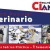 Estudia Técnico Auxiliar Veterinario en Ciandco