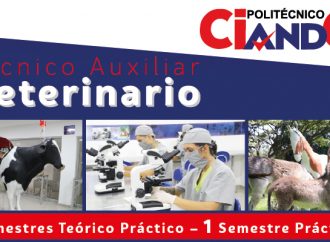 Estudia Técnico Auxiliar Veterinario en Ciandco